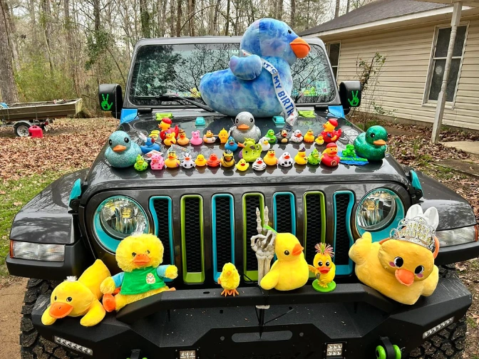 Why Do People Put Ducks On Jeeps 2026